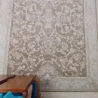 فرش|فرش|رشت, باهنر|دیوار