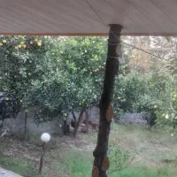 ویلا باغ اجاره ای ۳۰۰ متری|اجارهٔ خانه و ویلا|دابودشت, |دیوار