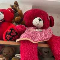 خرس بزرگ و گوگولی|اسباب‌‌بازی|شیراز, تاچارا|دیوار