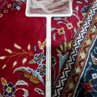 لوازم آکواریوم|ماهی|تویسرکان, |دیوار