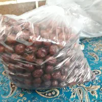 عناب و حبه|خوردنی و آشامیدنی|بیرجند, |دیوار