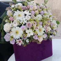 باکس گل