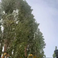 خانه ۶۵ متری دارای پروانه آب برق و گاز|فروش خانه و ویلا|دهبکری, |دیوار