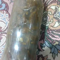 خیارشور ریز|خوردنی و آشامیدنی|هشتگرد, شهرک راه آهن|دیوار