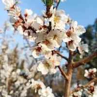 اگر-دنبال-چهاردیواری-اقساطی-هستی-تماس-بگیر