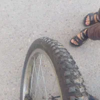 دوچرخه دخترانه ۲۰|دوچرخه، اسکیت، اسکوتر|شیراز, شیخ روزبهان|دیوار
