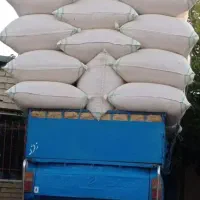 کاه نخود و عدس لذیذ و خوش خوراک