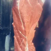 گوشت تازه کیفیت عالی