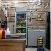 یخچال ویترینی کینو