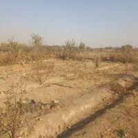 فروش باغچه در پیشک دو ماهدشت|فروش زمین و ملک کلنگی|ماهدشت, |دیوار