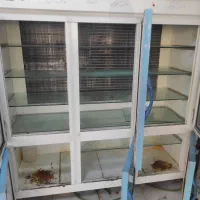 یخچال و فریزر ایستاده مغازهای سالم و تمیز|فروشگاه و مغازه|قم, دروازه چوبی|دیوار