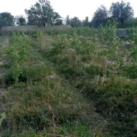 زمین با سند تک برگ مسکونی ۸۵۵ متر