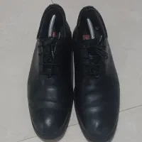 کفش چرم چرمینه سایز ۴۳
