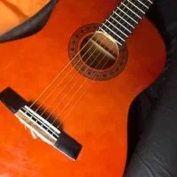 گیتار والنسیا CG170