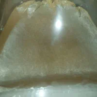 ارتمیا زنده