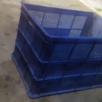 سبد پلاستیکی مرغ و ماهی وگوسفند