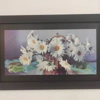 ساعت طاووس و دو عدد تابلو ست|ساعت دیواری و تزئینی|کرج, باغستان|دیوار