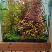 اکواریوم تجهیزات پلنت co2 دفیوزر خاک نور انوبیاس