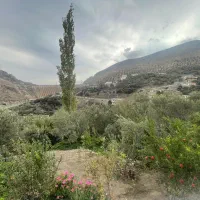 خانه-ویلایی