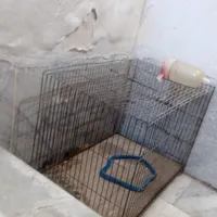 وسیله پرنده