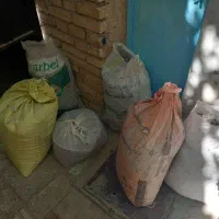 کود کبوتر