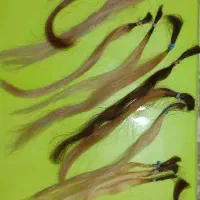 کاتالوگ رنگ موی مارال و موی طبیعی|آرایشی، بهداشتی، درمانی|رشت, دیلمان|دیوار