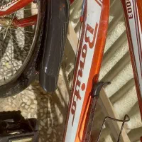 دوچرخه 20 بونیتو.(کوتاه،تنه)|دوچرخه، اسکیت، اسکوتر|بوئین زهرا, |دیوار