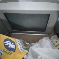 تلویزیون