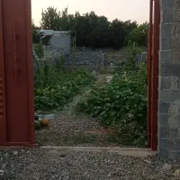 فروش یک قطعه زمین در مشهدی کلا|فروش زمین و ملک کلنگی|امیرکلا, |دیوار