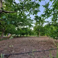 1000-متر-باغ-خلجستان-روستای-چمانک