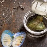 گردنبند مروارید عشق با صدف بزرگ طبیعی اصل با زنجیر|جواهرات|تهران, اکباتان|دیوار