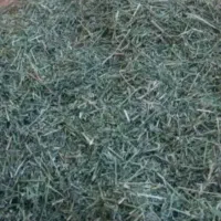 یونجه و کاه گندم|خدمات باغبانی و درختکاری|مرودشت, محمد آباد|دیوار