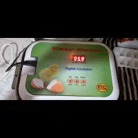 دستگاه جوجه کشی