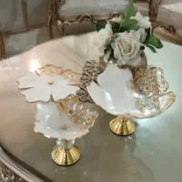 سرویس پذیرایی رزینی نو
