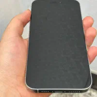 16 پرومکس 256 گیگ|موبایل|کرج, عظیمیه|دیوار