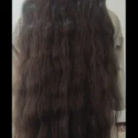 ف ر وش و خریدارمو