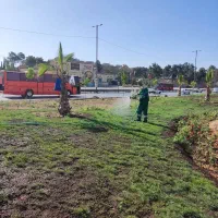 انجام امور باعبانی و فضای سبز