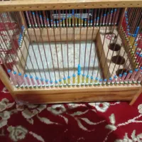 قفس پرنده دست ساز چوبی قدیمی بسیار زیبا