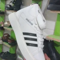 بعلت تغییر زیرقیمت فاکتور|کیف، کفش، کمربند|چناران, |دیوار