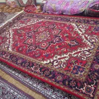 فرش هریس تاجری ۶ متری|فرش|تبریز, |دیوار