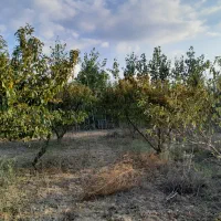 زمین با موقعیت مناسب