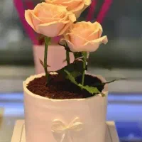 فروشنده قنادی