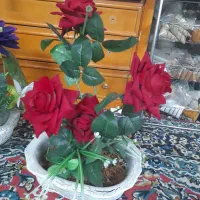 گل و گلدان مصنوعی|گل مصنوعی|مشهد, طلاب|دیوار