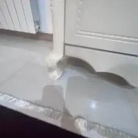 میز تلویزیون|میز تلویزیون|رشت, دیلمان|دیوار