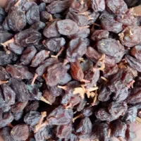 فروش کشمش وافتابی بوانات فروش بالای 100 کیلو|خوردنی و آشامیدنی|خرم بید, |دیوار