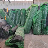 چمن نواری -چمن ویژه مدارس و ارگانهای دولتی|خدمات باغبانی و درختکاری|شیراز, دکتر حسابی|دیوار