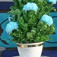 گل وگلدان شمشاد پرکار وپربرگ مدل داودی|گل مصنوعی|میانه, |دیوار