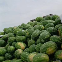 هنداونه|خوردنی و آشامیدنی|سارال, |دیوار