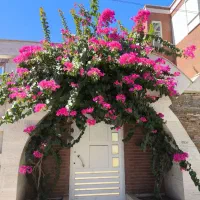 نیرویی خانم نیازمندم