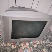 تلویزیون